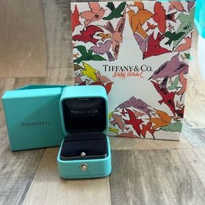 Tiffany & Co. Turquoise Box with Black Interior, Ring Box, and Andy Warhol bag